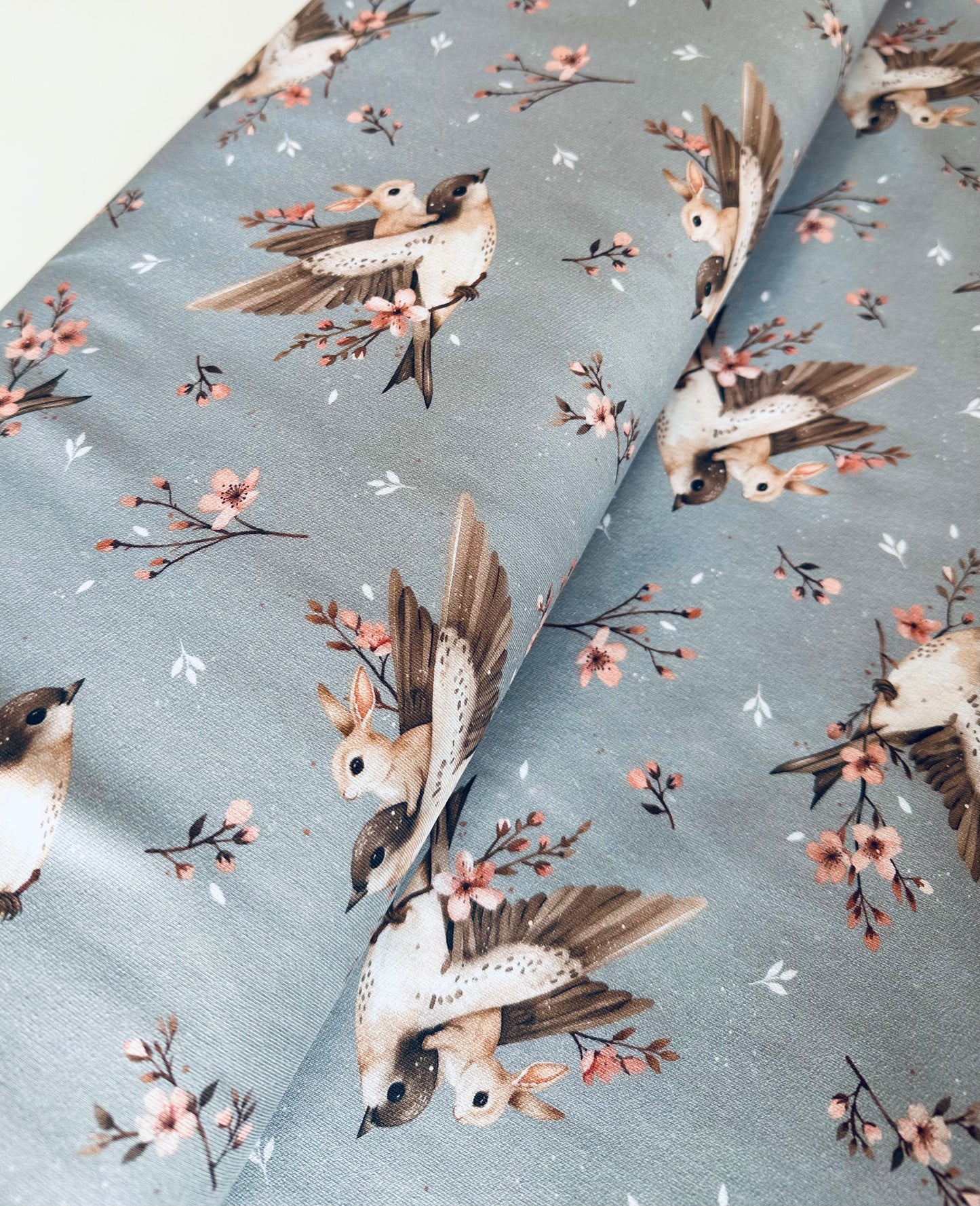 Teplákovina - Vlaštovky