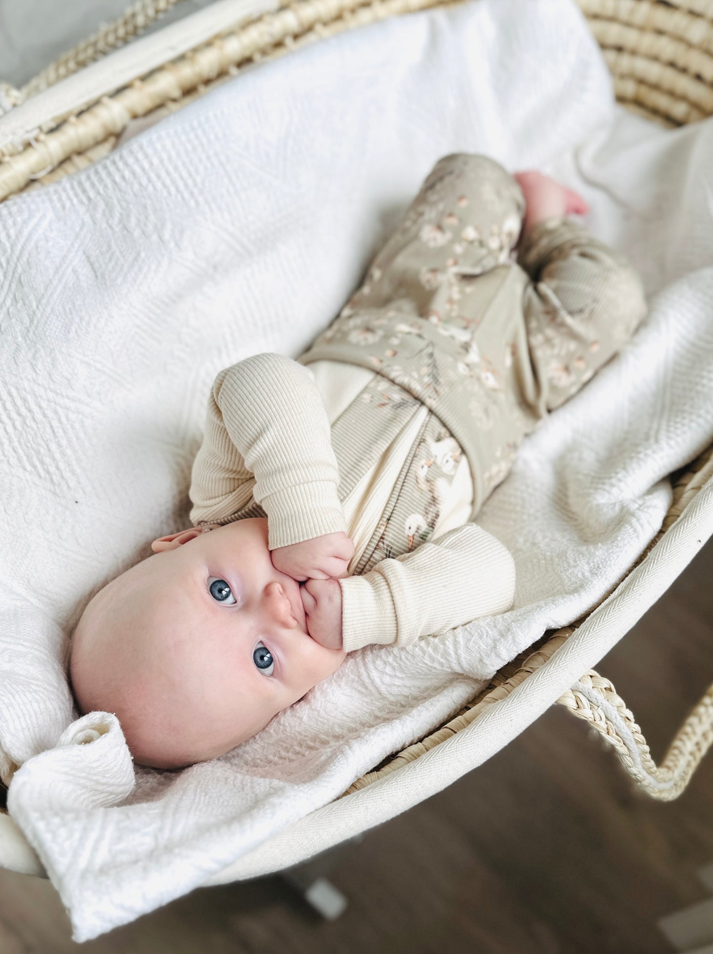 Teplákovina - Kačenky