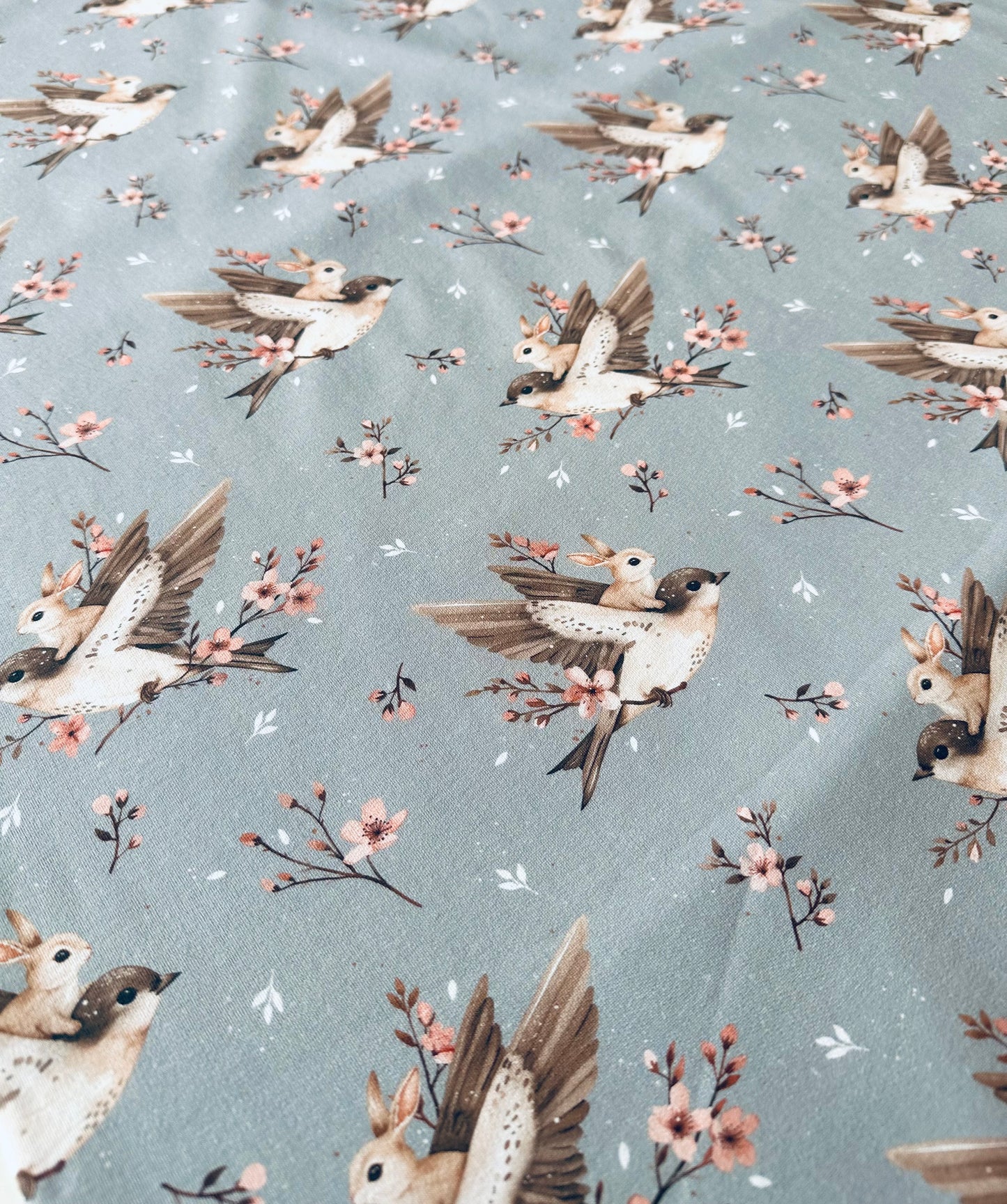 Teplákovina - Vlaštovky