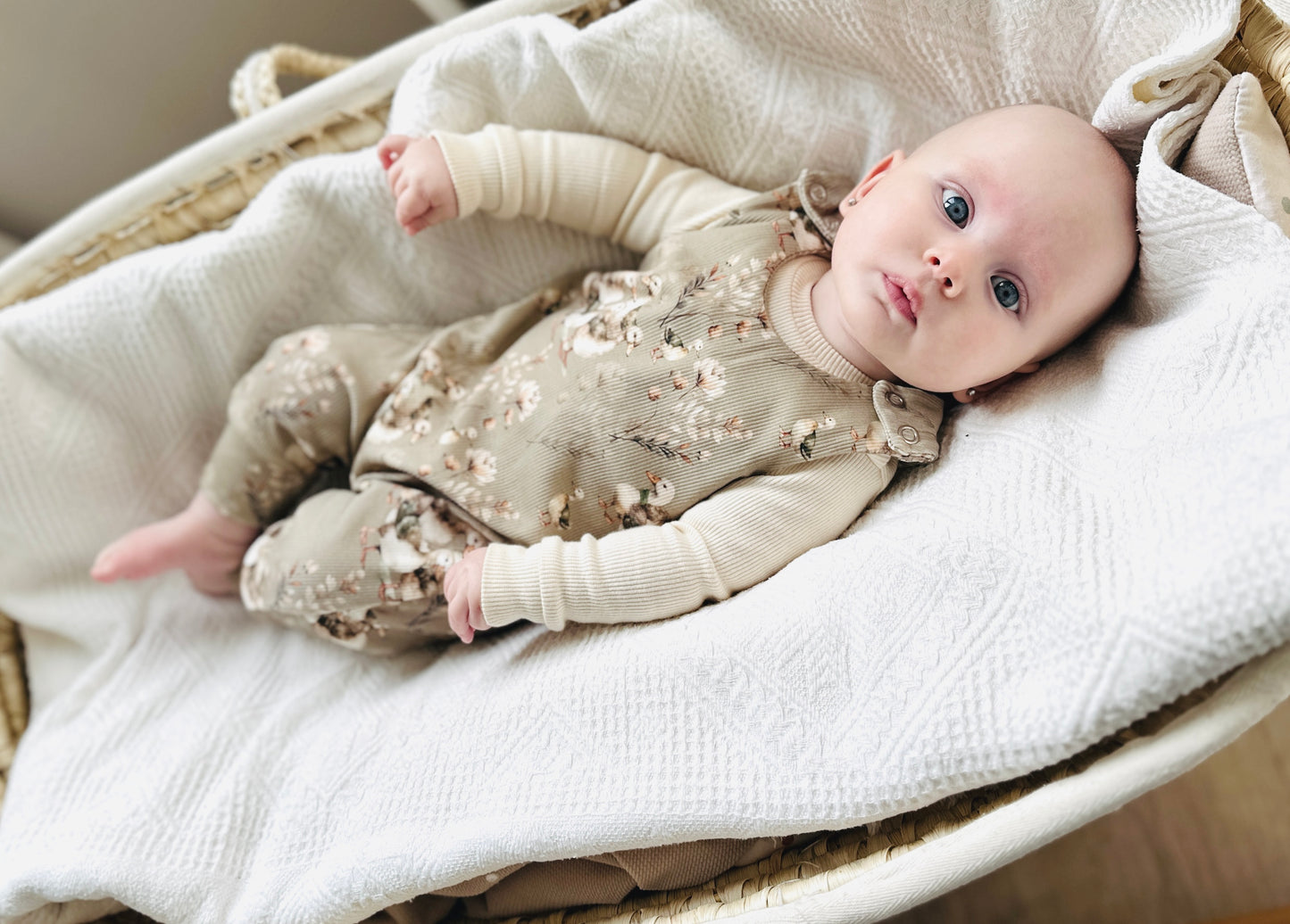 Teplákovina - Kačenky